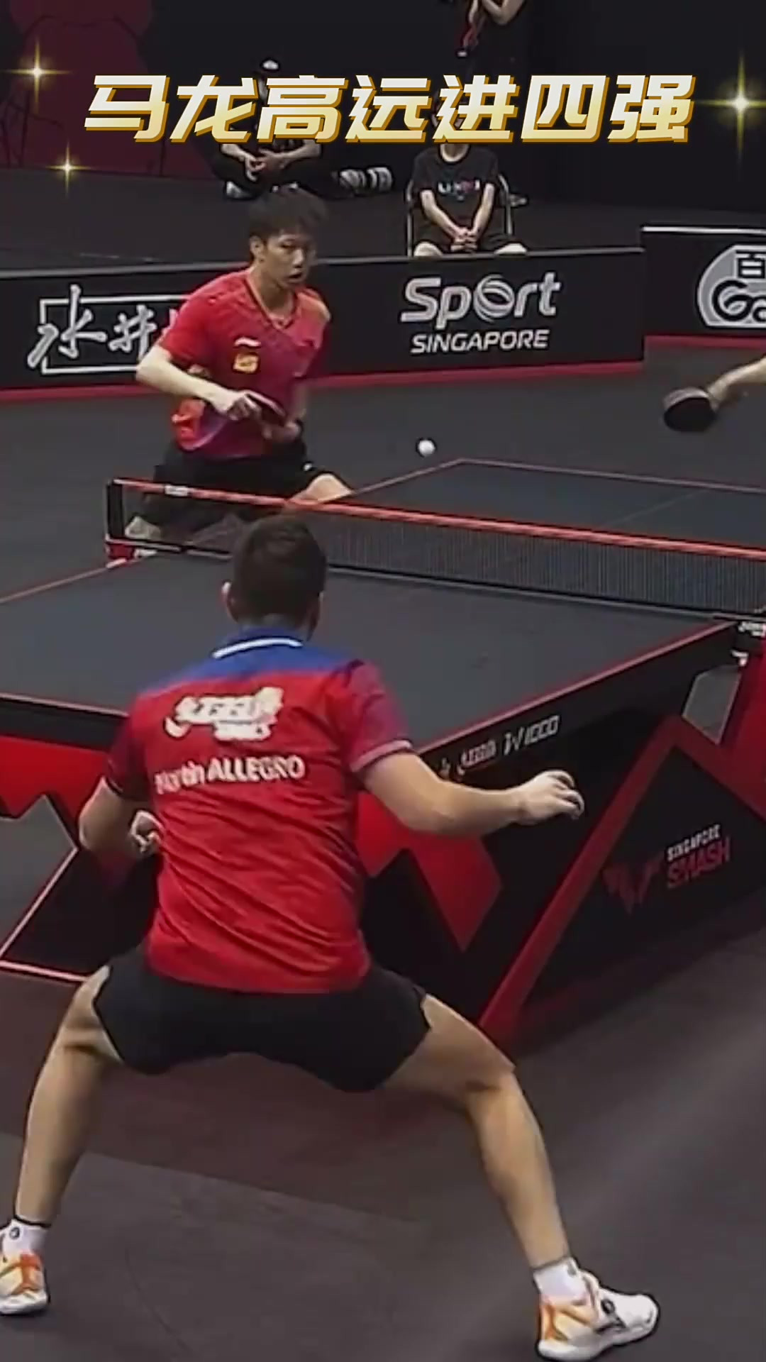 比利时乒乓球队血洗德国乒乓球队，马龙惊艳世界