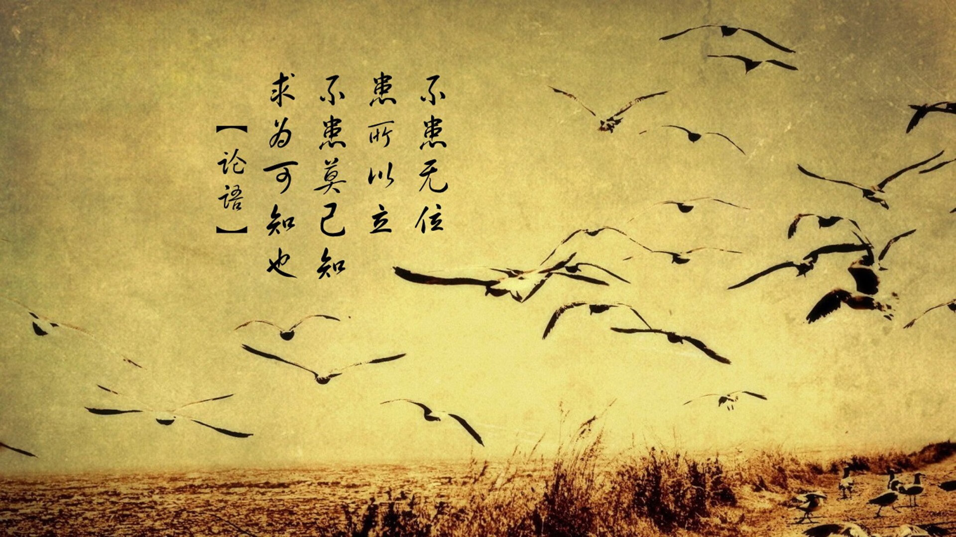 唯一性的胜利,勒克莱尔统治全场,红牛二队绝杀阿斯顿马丁