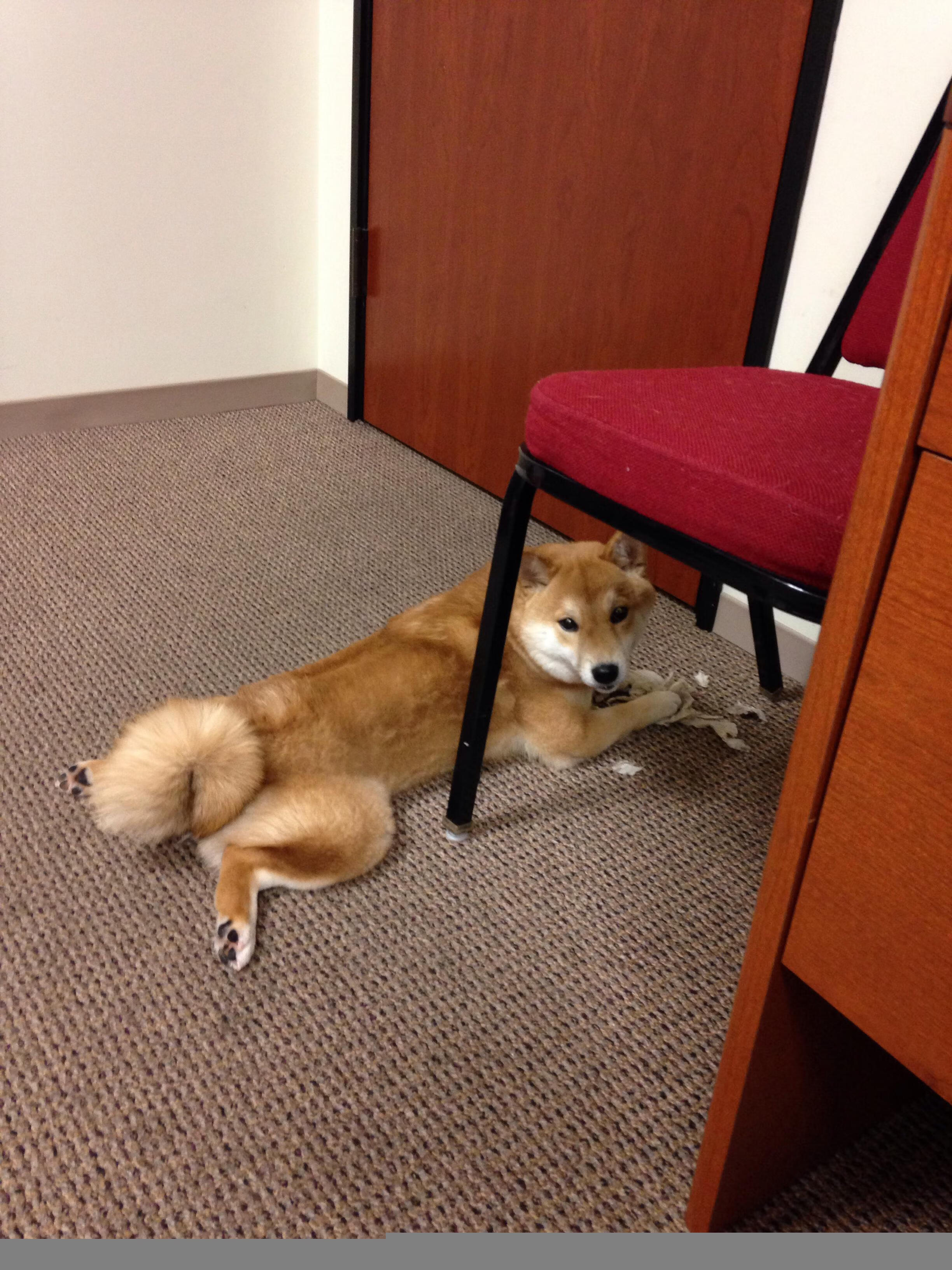 逆转之夜，中国队惊险胜泰国，安赛龙激情点燃全场