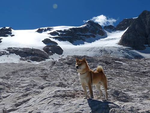 速度与对抗的交响,F1新赛季轰鸣启程,骑士铁蹄踏碎独行侠