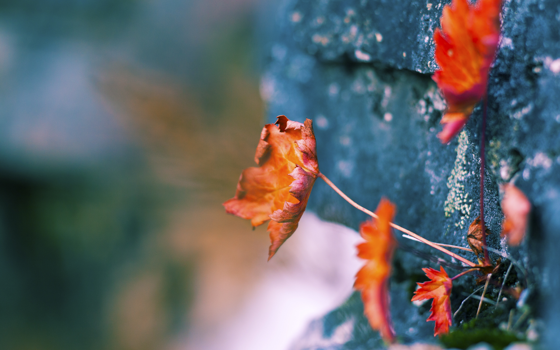 跨越地中海的哨音,基米希如何用一脚传球唤醒突尼斯的奥运之梦
