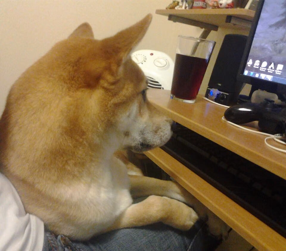 以一敌五！西亚卡姆如星际穿越五维空间战神，导演猛龙不可能逆转奇才