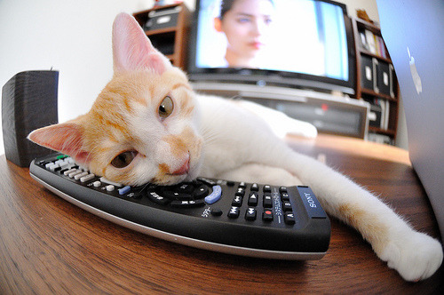 格纳布里，撕裂暗夜的那一道电光，让阿尔及利亚式铁血在欧陆绽放