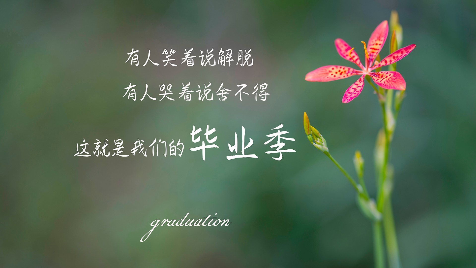 三维齿轮与自由灵魂，当日本式精密击碎北欧童话，卡拉斯科在荒漠画出彩虹