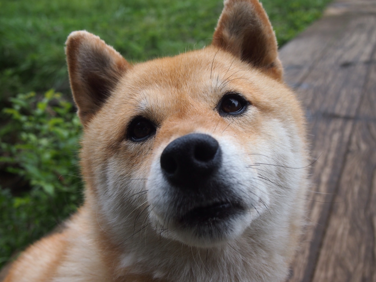 惊涛与磐石，当洪都拉斯的洪流冲垮雷恩，范戴克写下防守教科书