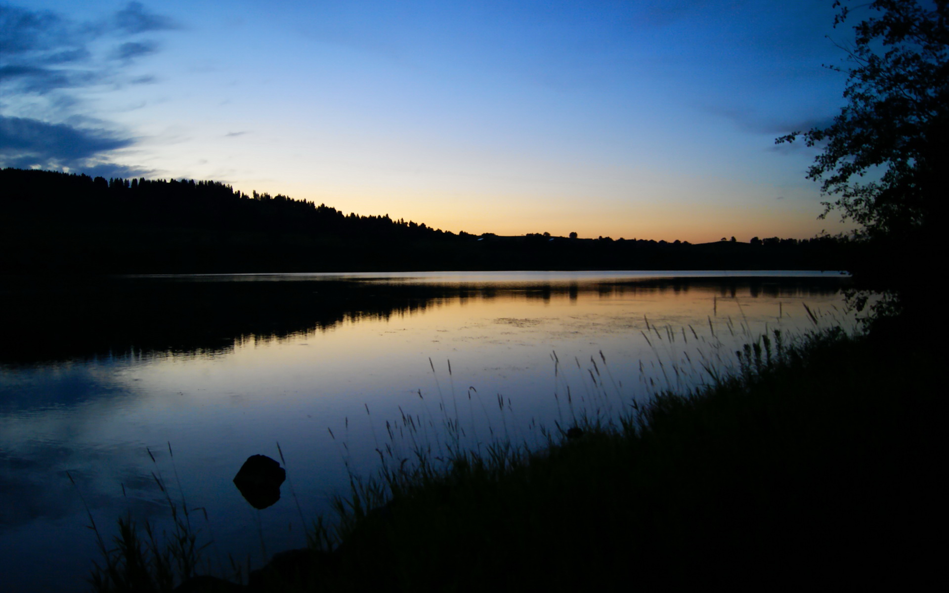 魔术的生死舞台—从NBA对决到世界杯战场，布伦森的双面主宰