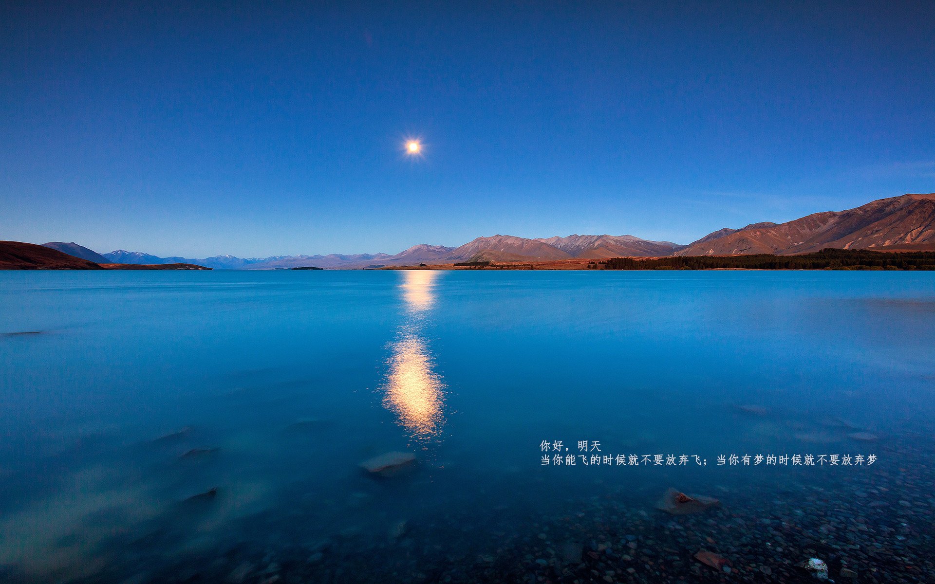 奥运前哨战，灰熊末节发力掀翻绿军，国家队席位争夺白热化