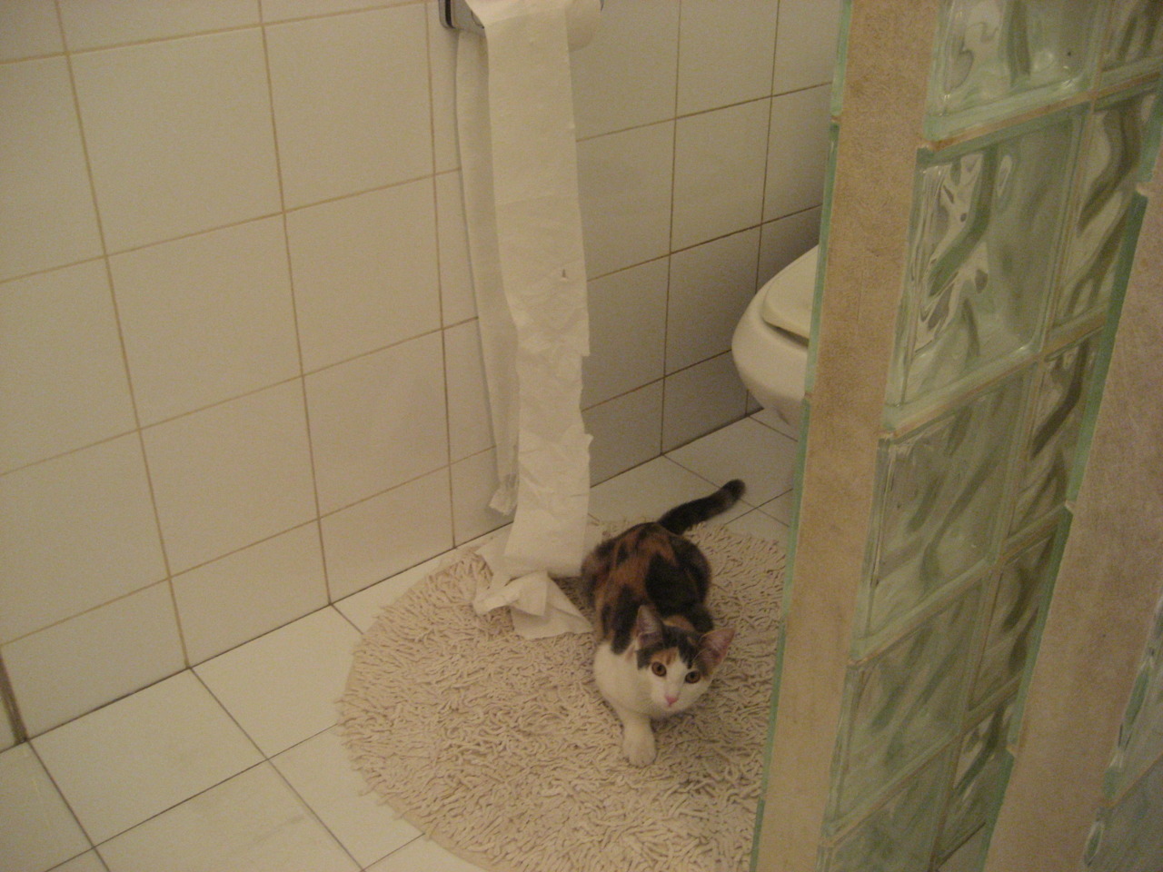 引擎轰鸣时,他接管了篮球与赛道的交叉点