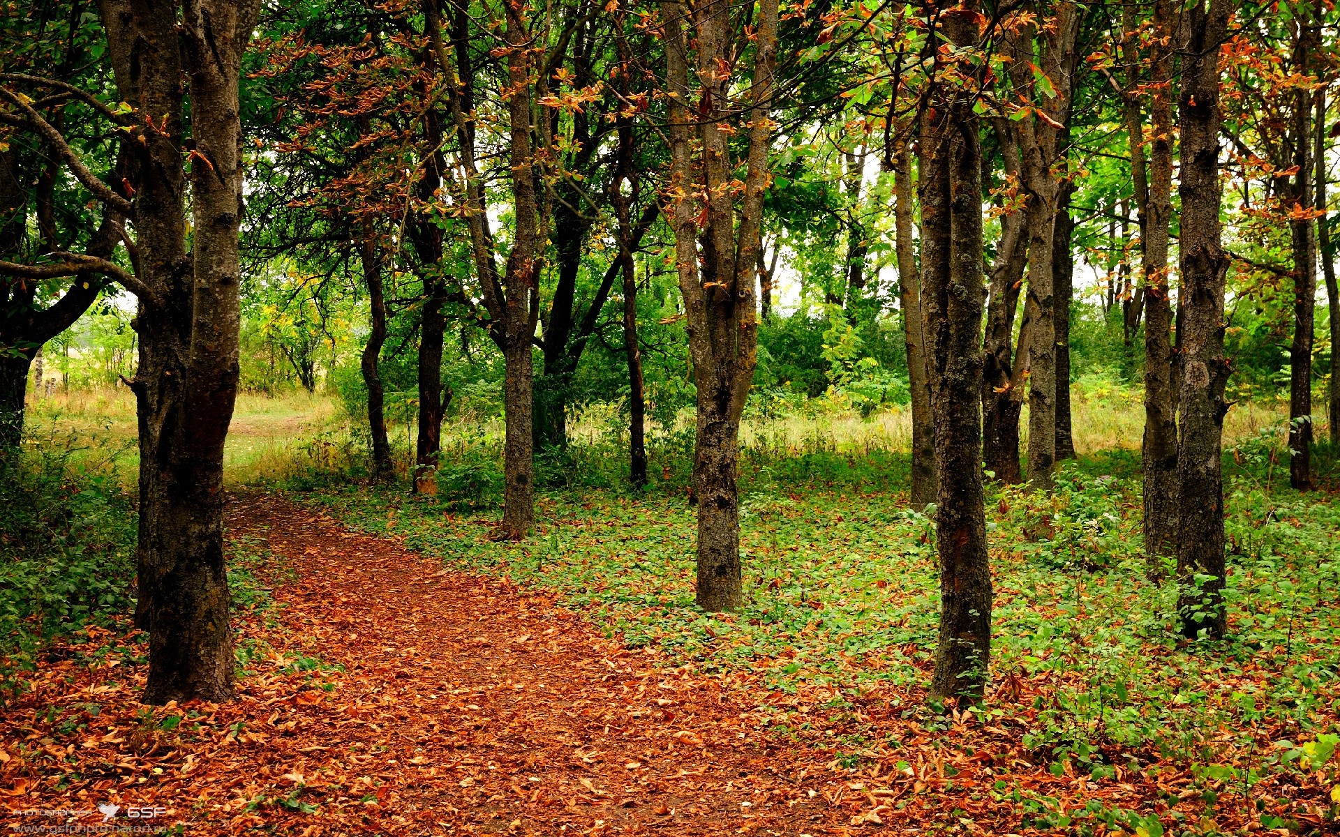 西甲国家德比焦点战启示录，罗马掀翻法国的战术风暴与足球哲学
