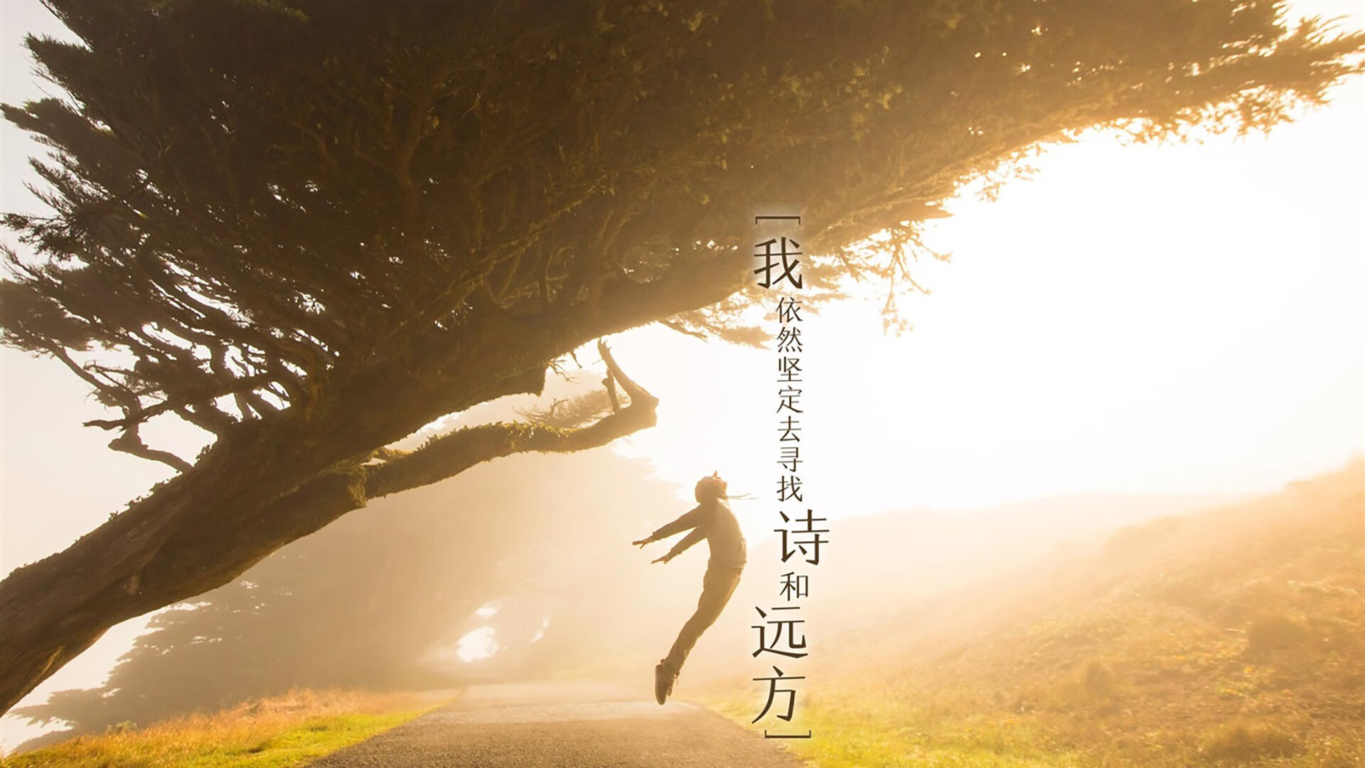 冰与火之歌,2026世界杯F组,C罗的终章与泰国的破冰之夜